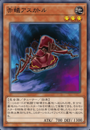 赤蟻アスカトルの画像