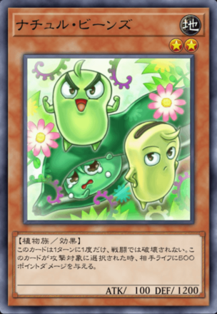 ナチュル・ビーンズ画像