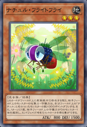 ナチュル・フライトフライの画像