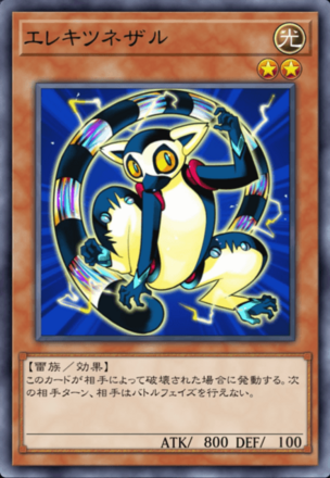 エレキツネザル画像