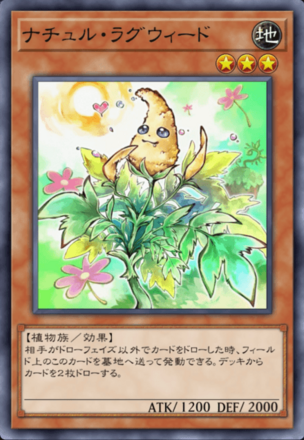 ナチュル・ラグウィードの画像