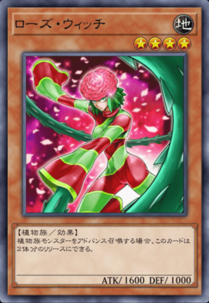 ローズ・ウィッチの画像