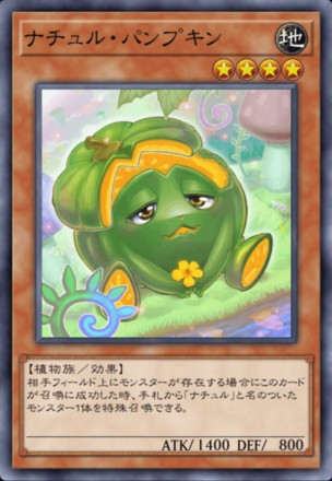 ナチュル・パンプキンの画像