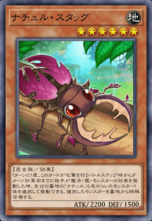 ナチュル・スタッグの画像