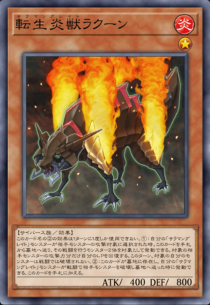 転生炎獣ラクーン画像