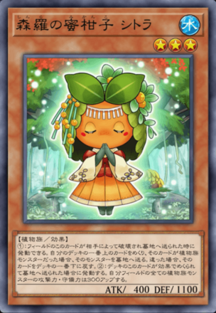 森羅の蜜柑子 シトラ画像