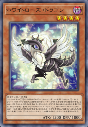 ホワイトローズ・ドラゴン画像