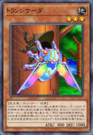 トランシケーダ画像