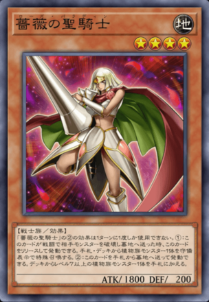 薔薇の聖騎士画像