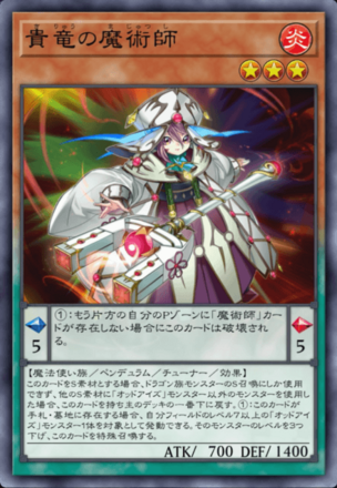 貴竜の魔術師画像