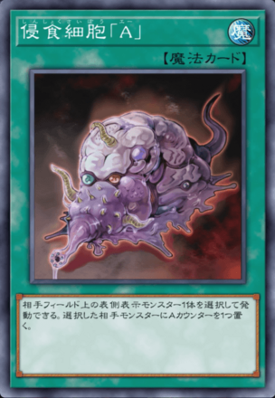 侵食細胞「A」画像