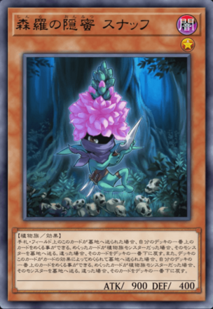 森羅の隠蜜 スナッフ画像