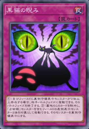 黒猫の睨みの画像