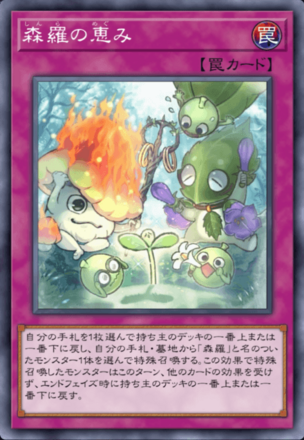 森羅の恵み画像