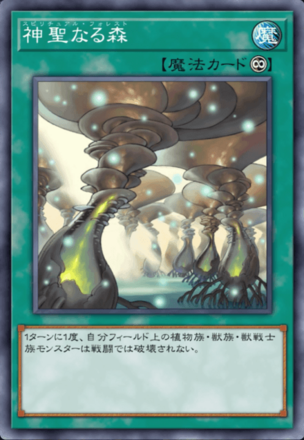 神聖なる森の画像