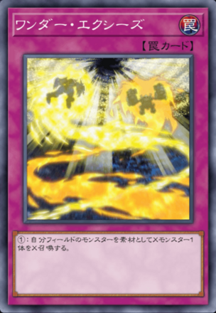 ワンダー・エクシーズ画像