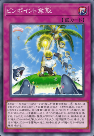 ピンポイント奪取画像