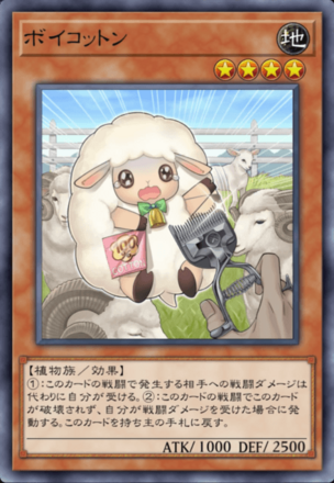 ボイコットンの画像