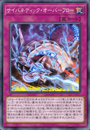 サイバネティック・オーバーフロー画像