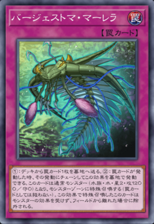 バージェストマ・マーレラ画像