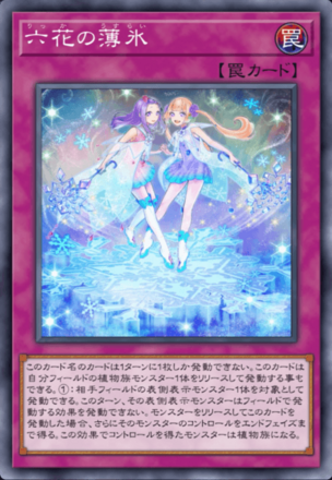 六花の薄氷画像