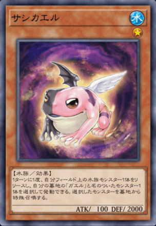 サシカエルの画像