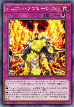 デュアル・アブレーションの画像