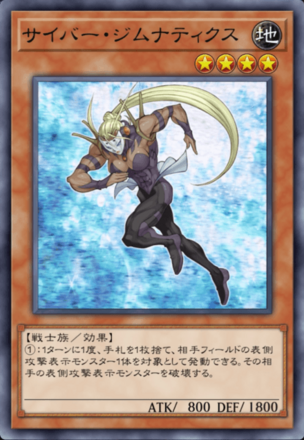 サイバー・ジムナティクスの画像