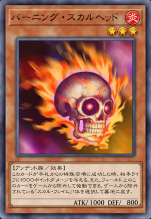 バーニング・スカルヘッドの画像