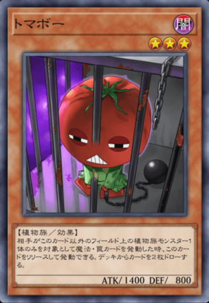 トマボーの画像