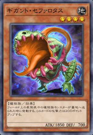 ギガント・セファロタスの画像