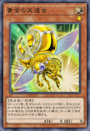 黄金の天道虫の画像