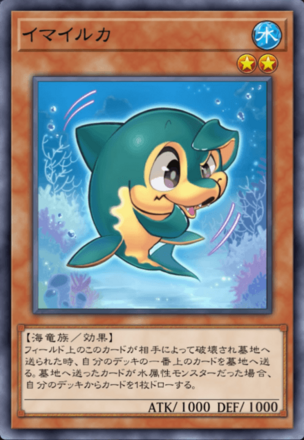 イマイルカの画像