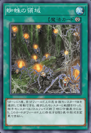 蜘蛛の領域画像