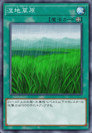 湿地草原の画像