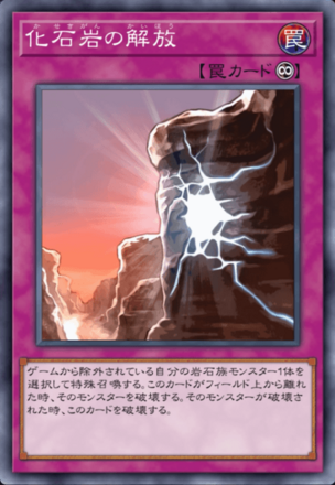 化石岩の解放画像