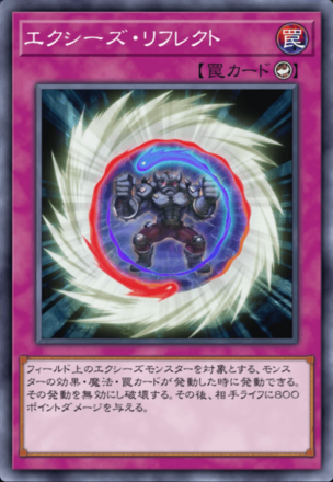 エクシーズ・リフレクト画像