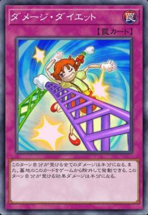 ダメージ・ダイエットの画像