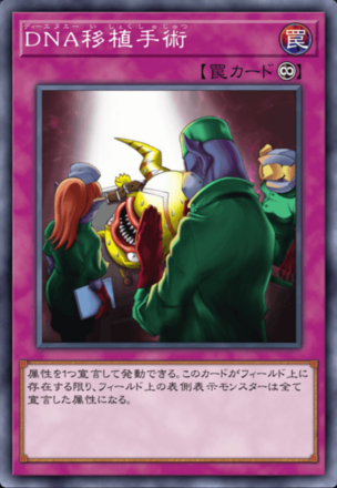 DNA移植手術画像