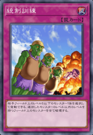 統制訓練の画像