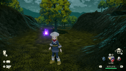 ポケモンアルセウスのともしび28場所