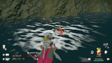 オヤブンコイキングの出現場所