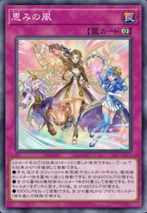 恵みの風の画像