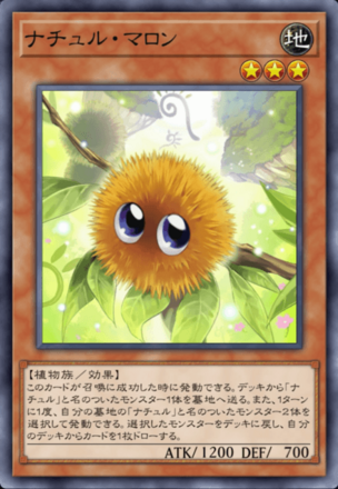 ナチュル・マロン画像