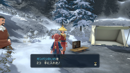 ポケモンを逃がす