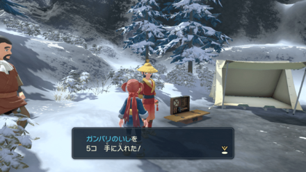 ポケモンを逃がす