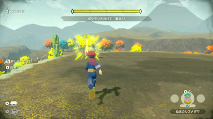 ポケモンバトルを仕掛けよう