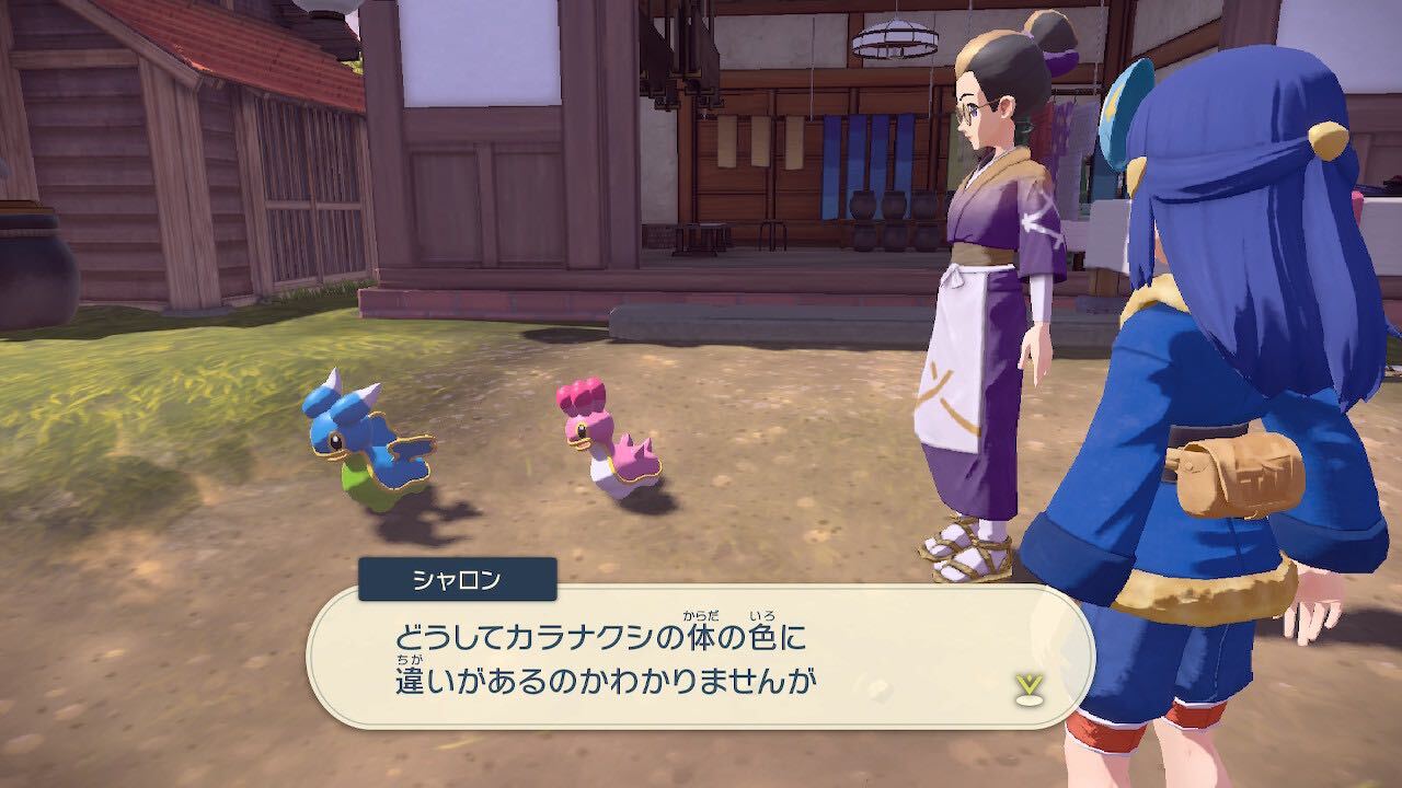 西と東のカラナクシ