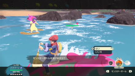 ポケモンバトルでの捕獲が手っ取り早い