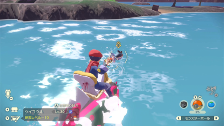 攻撃してこないポケモンは直接ボールを投げてOK